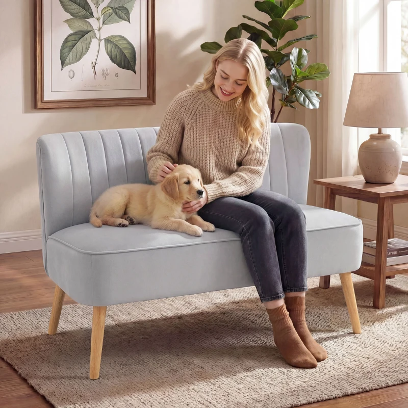 HOMCOM Modern Velvet Double Seat Sofa w/ Wood Frame Foam Padding Soft Comfortable Compact Couch Light Grey