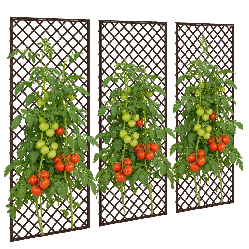 Outsunny Conjunto de 3 Treliças de Jardim em Vime Suportes para Plantas Trepadeiras com Topo Plano 43x112 cm Marrom