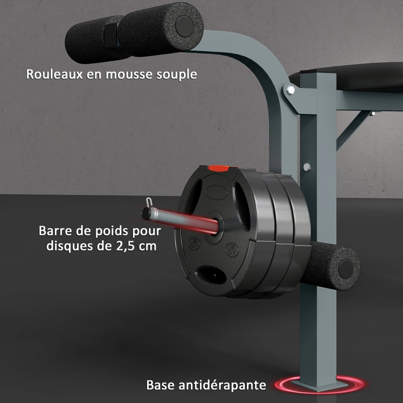 HOMCOM Banc de musculation Fitness banc d'haltérophilie entrainement complet dossier réglable curler