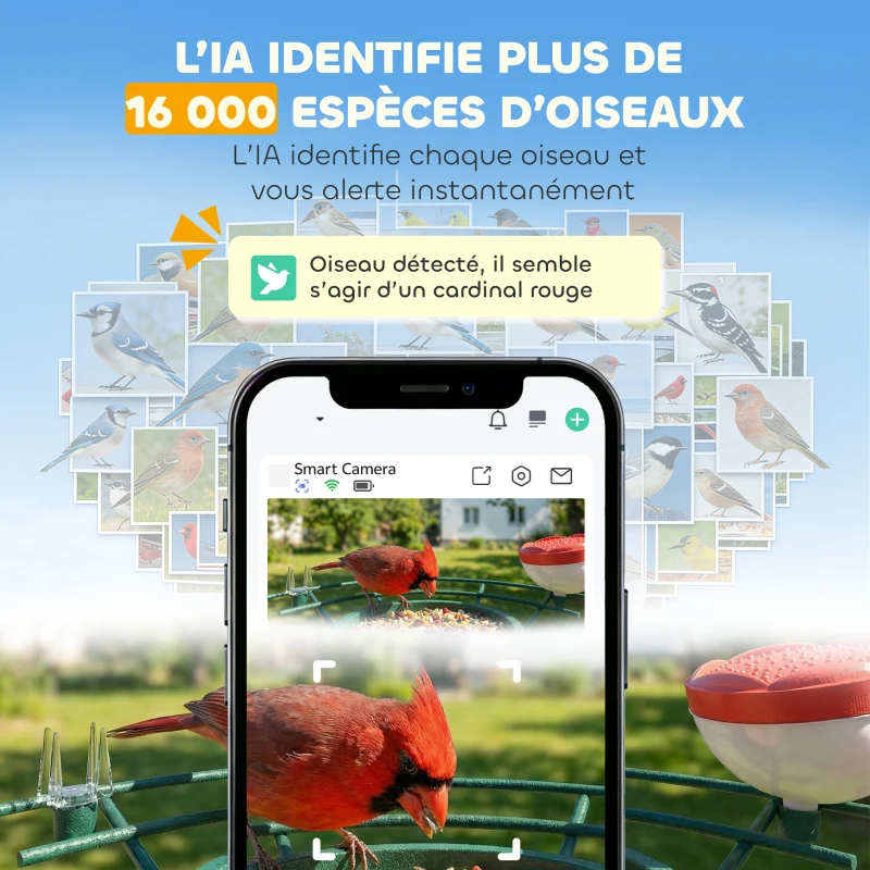 PawHut Mangeoire oiseaux avec caméra intelligente 2K coque acier anti-écureuil panneau solaire 30 x 34,5 x 26,3 cm vert