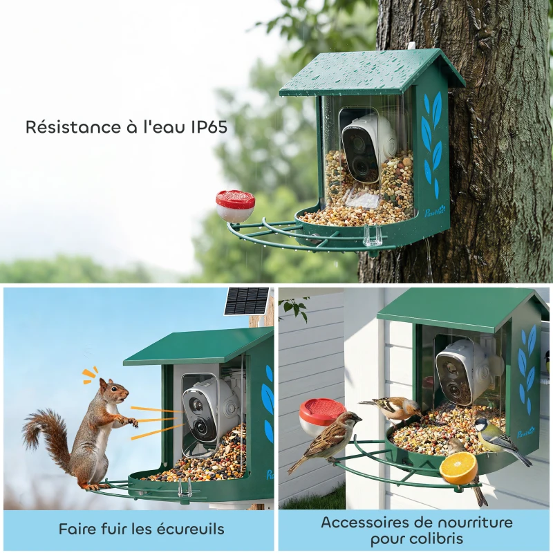 PawHut Mangeoire oiseaux avec caméra intelligente 2K coque acier anti-écureuil panneau solaire 30 x 34,5 x 26,3 cm vert