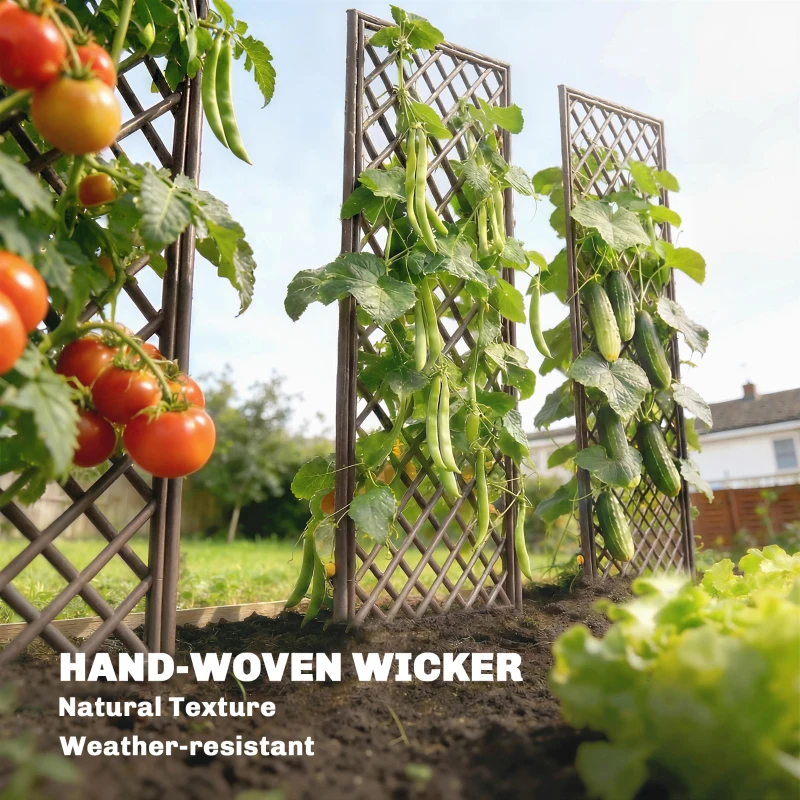 Outsunny Garden Trellis, Decorative Trellis Panels for Climbing Outdoor Plants, Natural Wood Finish