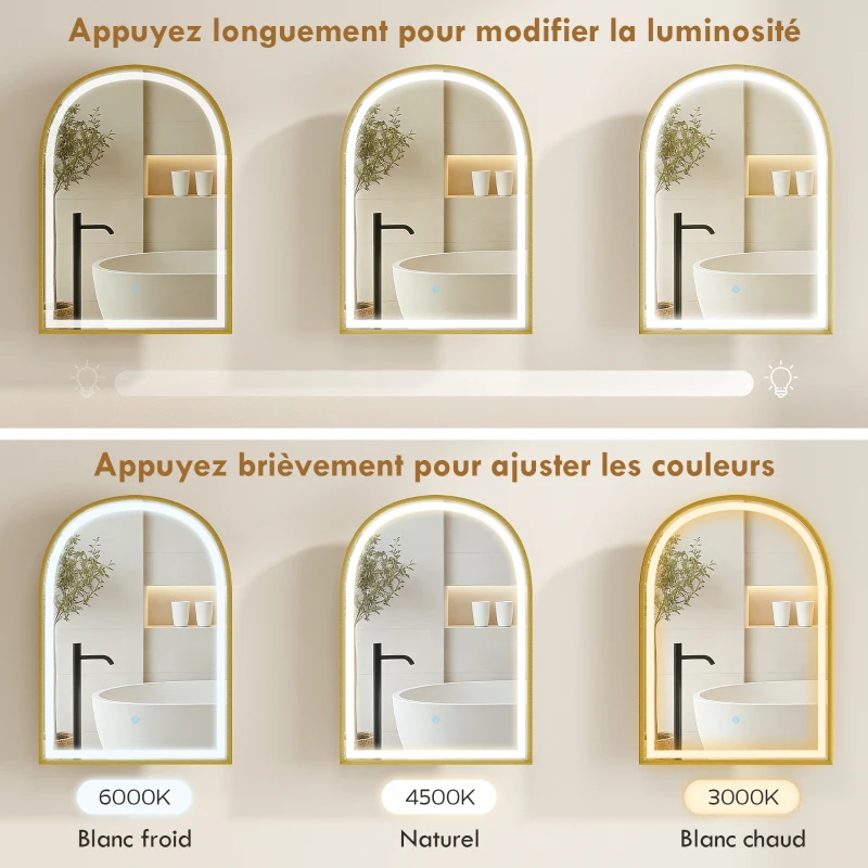 HOMCOM Armoire murale salle de bain avec miroir et éclairage LED, porte arquée, anti-buée, 50x14,5x70cm, doré