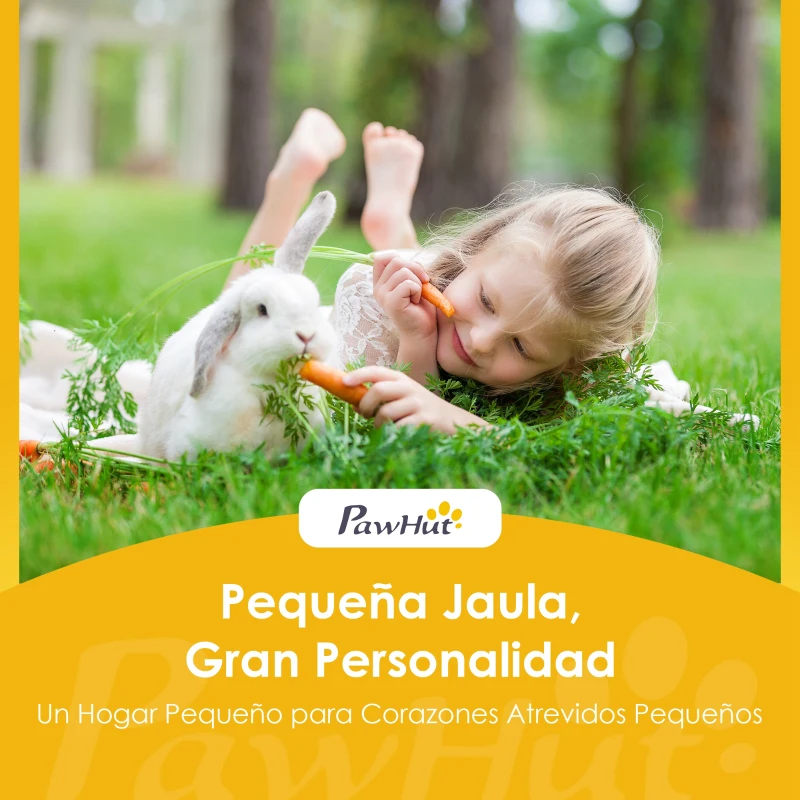 PawHut Conejera de Madera, Jaula para Conejos Medianos con Techo Asfáltico Abatible Bandeja Extraíble Puerta con Pestillo Gris