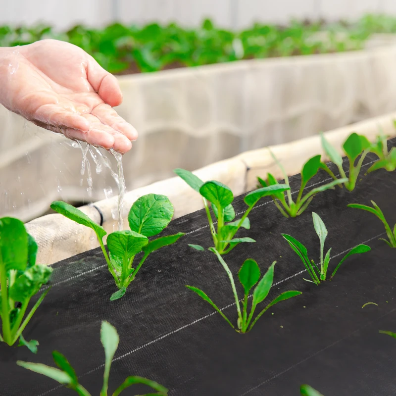 Outsunny Lot de 2 toiles de paillage - Toile anti mauvaises herbes - toile de paillage anti mauvaises herbes 100 g/m²