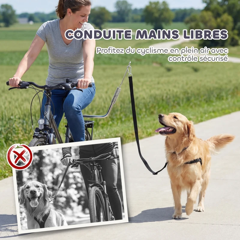 PawHut Laisse de Vélo pour Chien 180 cm en Inox , Fixation Rapide, Ressort Amortisseur, Sangle Ajustable, Argent