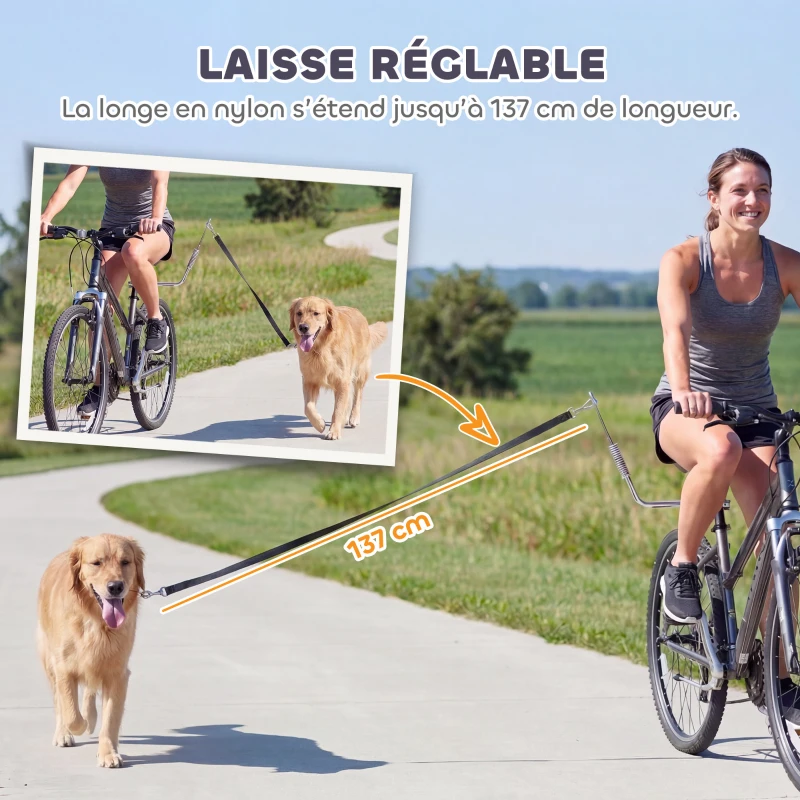PawHut Laisse de Vélo pour Chien 180 cm en Inox , Fixation Rapide, Ressort Amortisseur, Sangle Ajustable, Argent