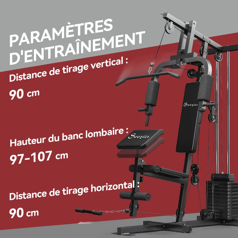 HOMCOM Station de musculation avec barre de traction et butterfly, poulie et extenseur de jambes – 12 poids de 65 kg en tout – appareil de musculation à domicile(m-7)