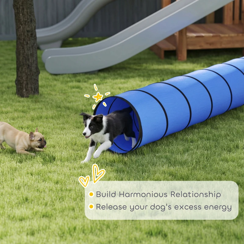 PawHut Dog Tunnel, 500 x 60 cm, Foldable Play Tunnel with 6 Pegs and Bag, Tear-Resistant Outdoor Dog Agility Equipment, Blue