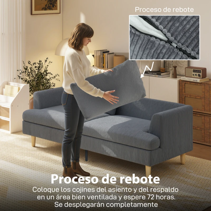 HOMCOM Sofá de 3 Plazas Tapizado en Pana Acolchado Grueso de Muelles Asiento Ancho 2 Almohadas 188x80x86 cm Gris Oscuro