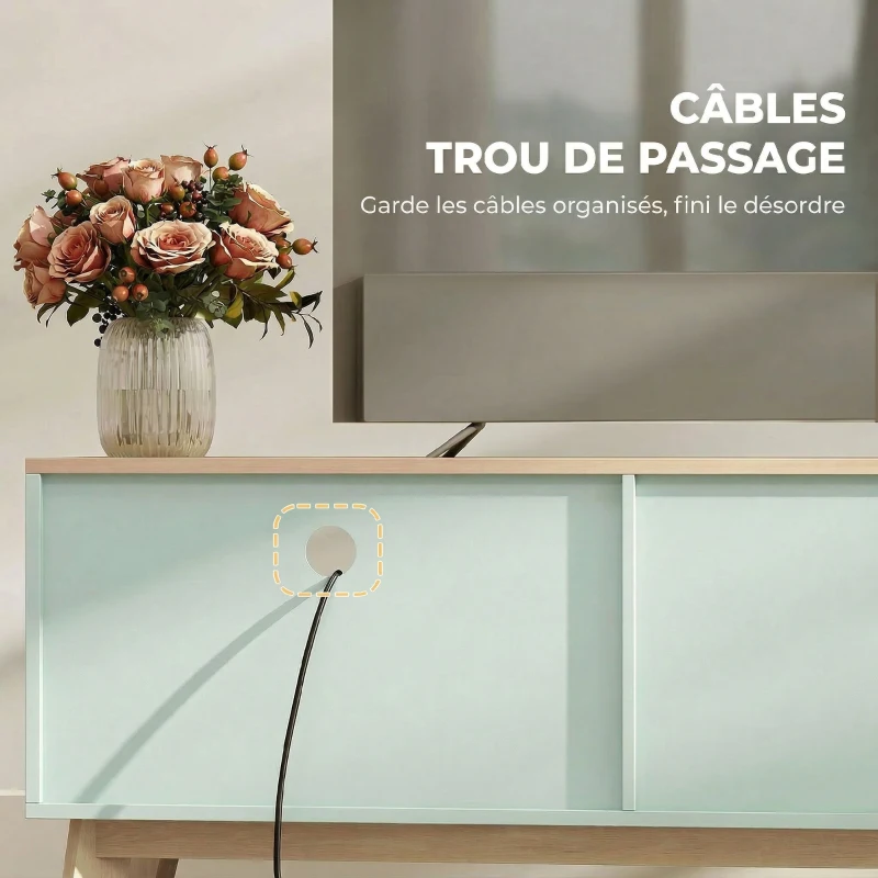 HOMCOM Meuble TV 120 cm, meuble télé pour téléviseur jusqu'à 36 pouces avec 2 portes, tiroir, compartiment ouvert, vert clair