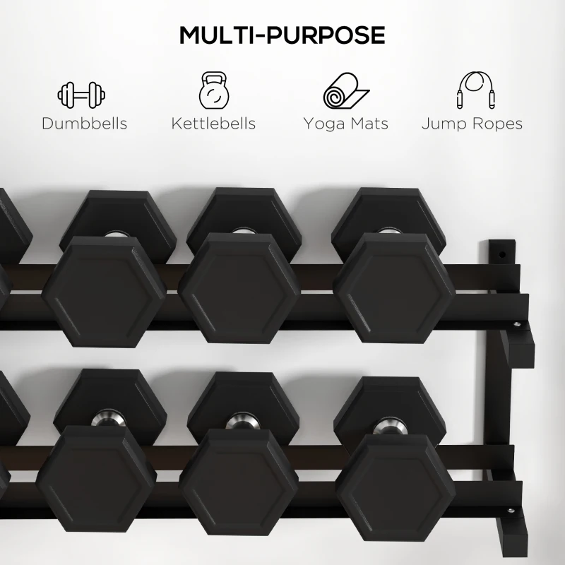 SPORTNOW Wall-Mounted Dumbbell Rack, 2-Tier Weight Stand, Space-Saving and Multi-Functional Steel organiser for Home Gym, Black