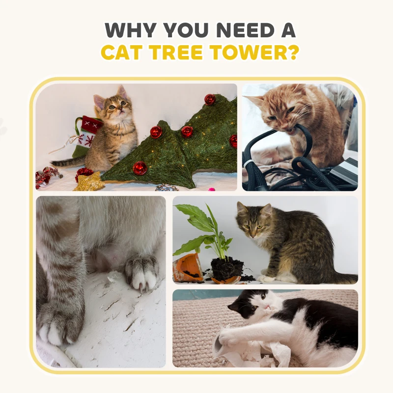 PawHut Kattenkrabpaal Kattenton voor katten 3 niveaus Krabpaal klimboom sisal