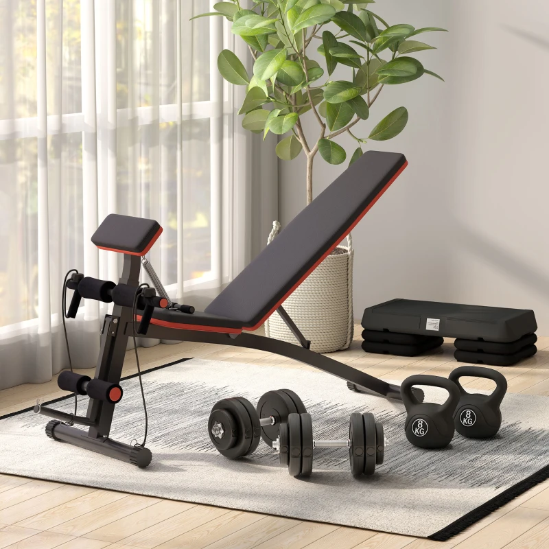 HOMCOM Foldable Weight Bench with Resistance Ropes, Adjustable Dumbbell Bench Sit Up Ab Bench for Multiuse Workout(m-20)