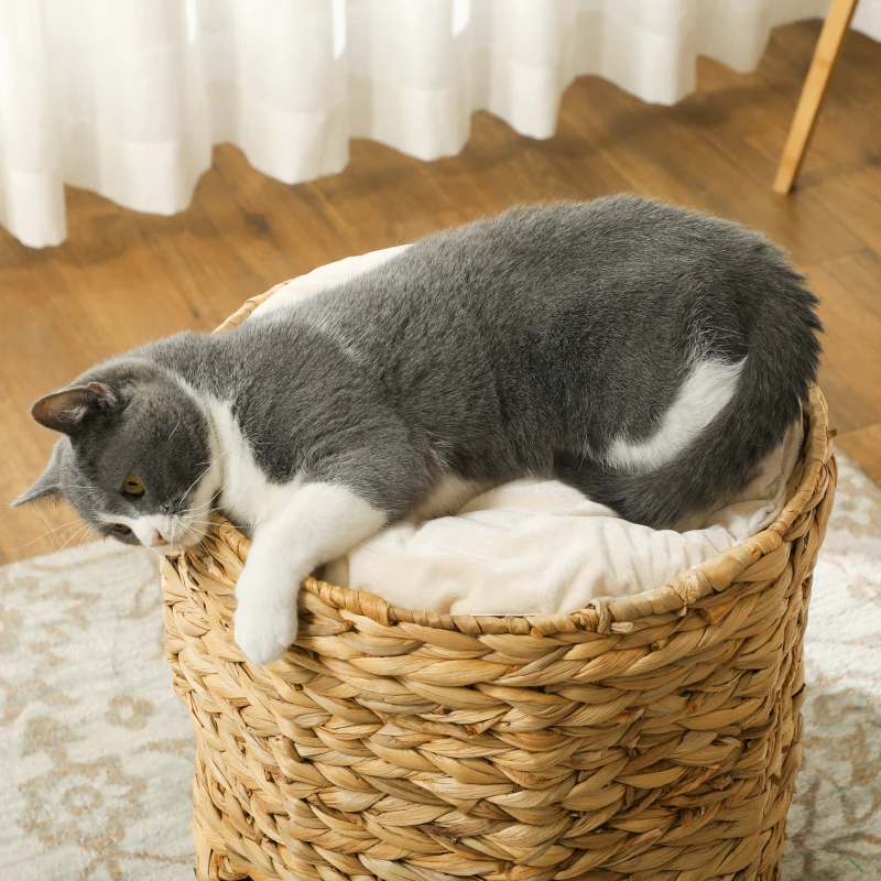 Kocia Tuba 50 cm, 2 kryjówki, drapak z poduszką