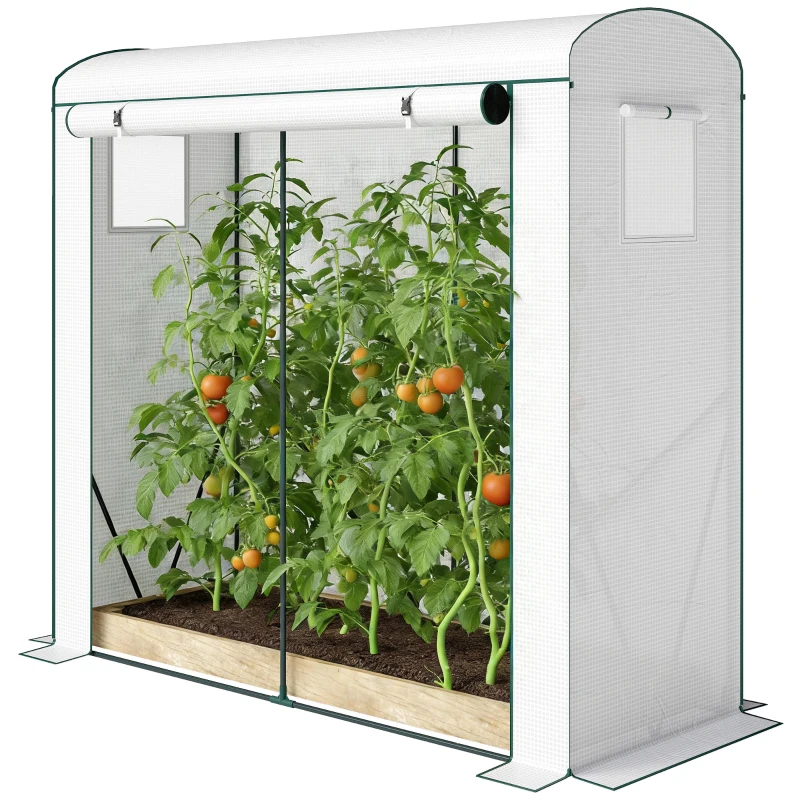 Outsunny Mini Greenhouse, Garden Tomato Growhouse with Roll-Up Door and 2 Mesh Windows, PE Cover, 200 x 75 x 188 cm, White