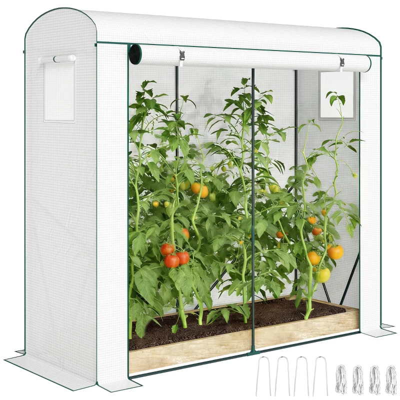 Outsunny Mini Greenhouse, Garden Tomato Growhouse with Roll-Up Door and 2 Mesh Windows, PE Cover, 200 x 75 x 188 cm, White