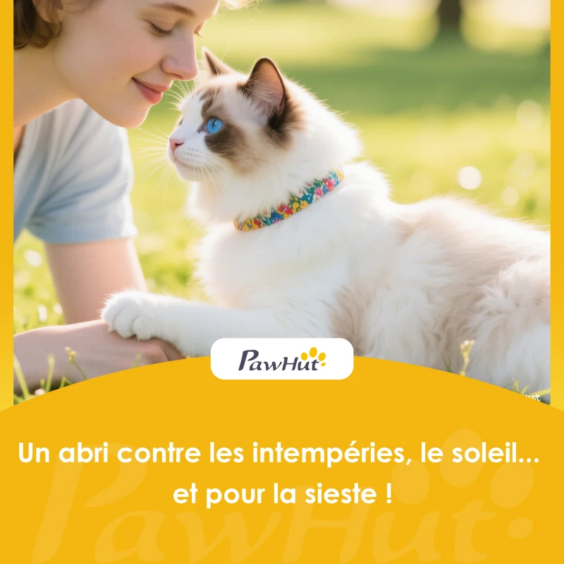 PawHut Maison pour Chat Extérieur Toit Ouvrant Fenêtre Panoramique Porte à Lamelles et Plateforme de Repos 101x72,5x81cm Gris