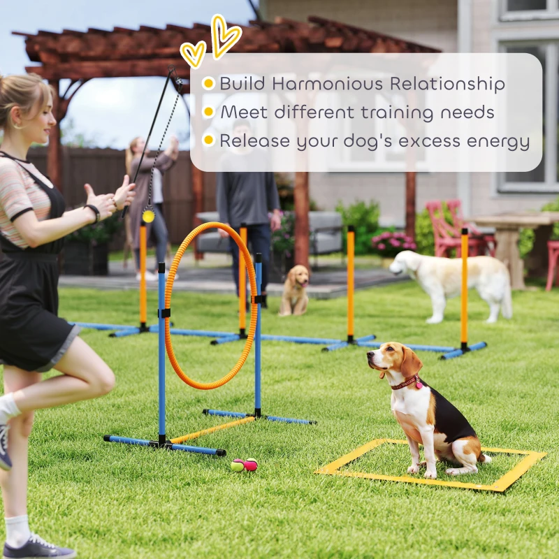 Zestaw Agility dla psów PawHut, 7 elementów, treningowy