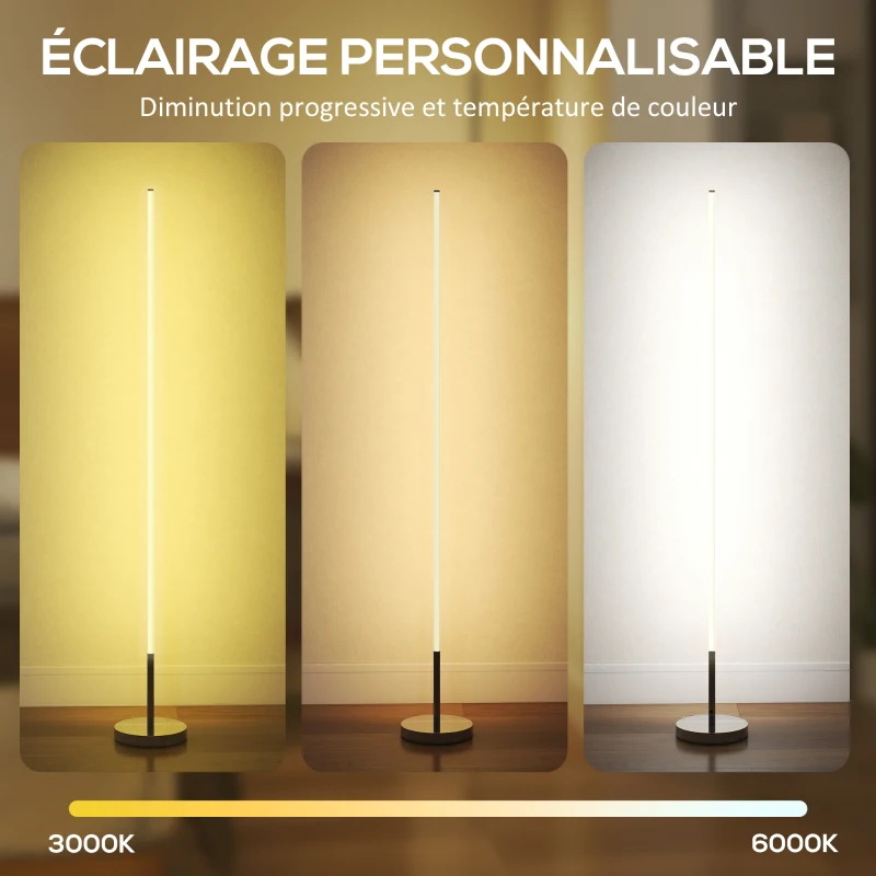 HOMCOM Lampadaire LED, lampadaire sur pied salon à intensité variable, télécommande, interrupteur à pied, Ø20x150cm, argent