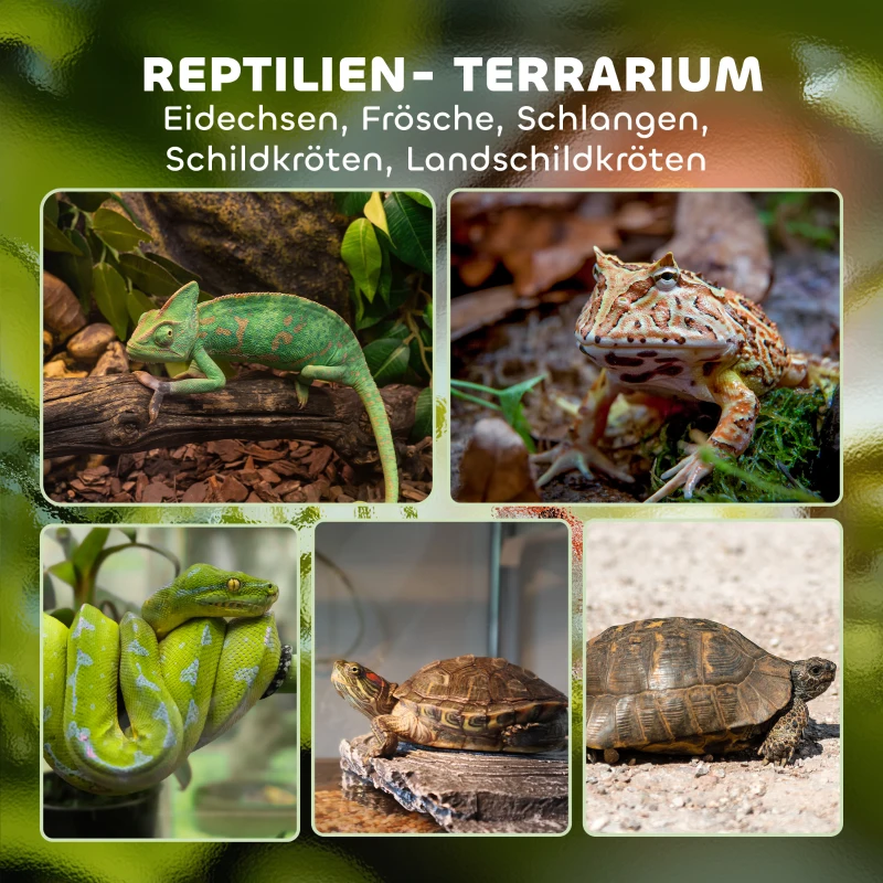 PawHut Terrarium für Reptilien Glasterrarium 48L mit Frontbelüftung Steinrückwand Drehverschluss 50 x 30 x 35 cm Schwarz