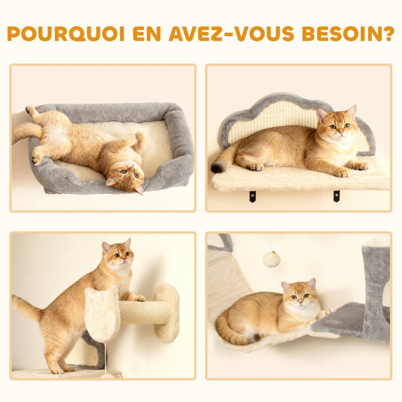 PawHut Étagères murales pour chat ensemble de meubles muraux 6 pièces hamac à bulles en acrylique niche hamac échelle beige