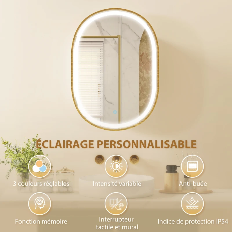 HOMCOM Armoire murale salle de bain avec miroir et éclairage LED, porte ovale, anti-buée, 50x14,5x70cm, doré