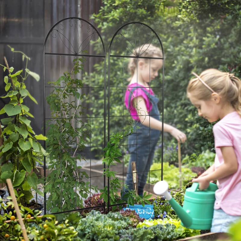 Outsunny Treillis de jardin lot de 2 support pour plantes grimpantes en métal - 51 x 152 cm noir