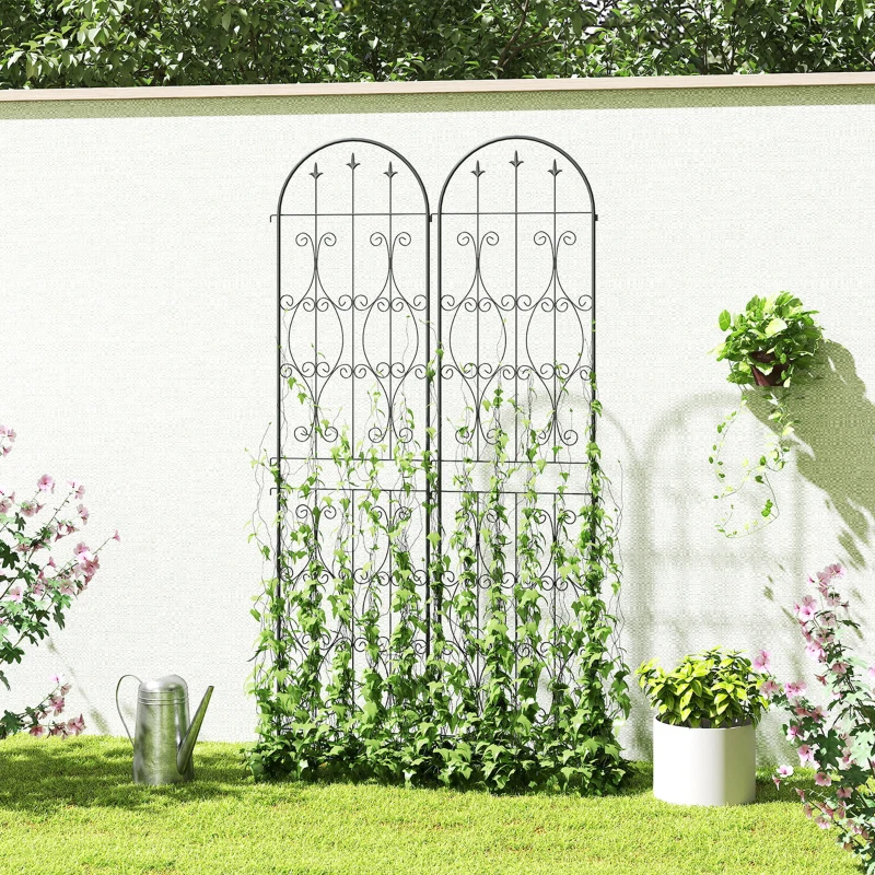 Outsunny Lot de 2 supports pour plantes grimpantes, treillis de jardin, pour légumes, vignes, fleurs, en métal, 50 x 220 cm, noir