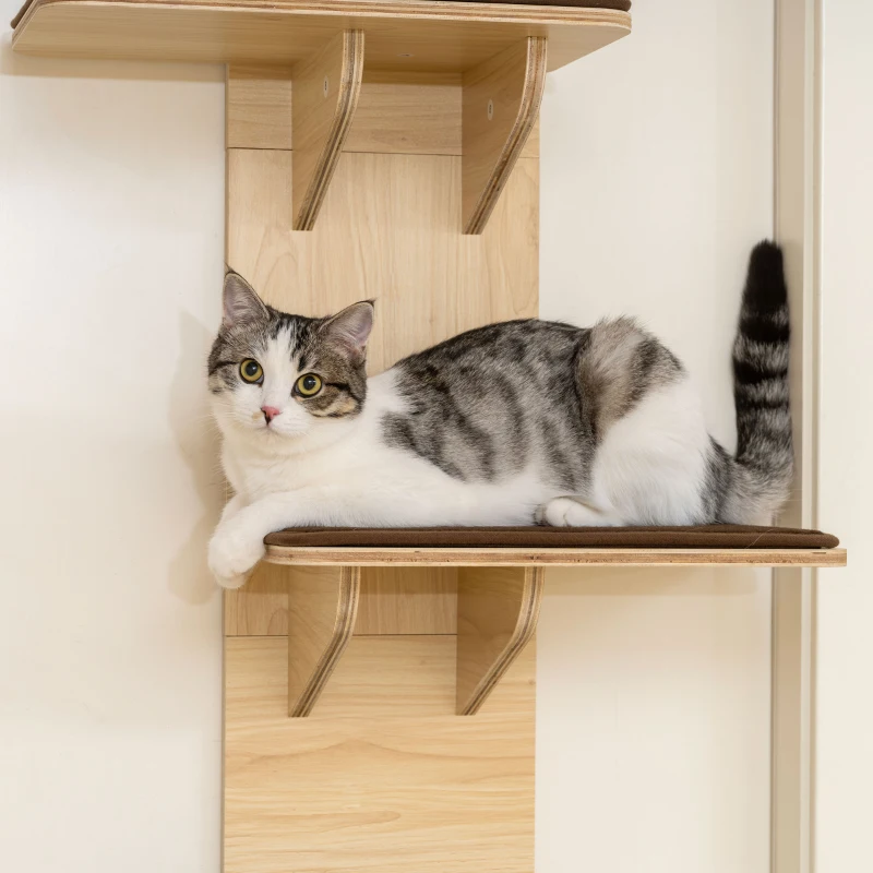 PawHut 4-Level Door Mounted Cat Tree with Washable Plush Mats, Toy Balls, Door Hanging Cat Shelf for Indoor Cats