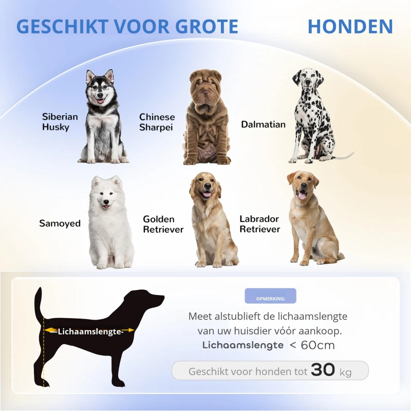 PawHut Hondensofa voor Grote Honden tot 30 kg, Gepolsterd, met Grenenhouten Poten, 98 x 67 x 25 cm, Grijs(m-4)