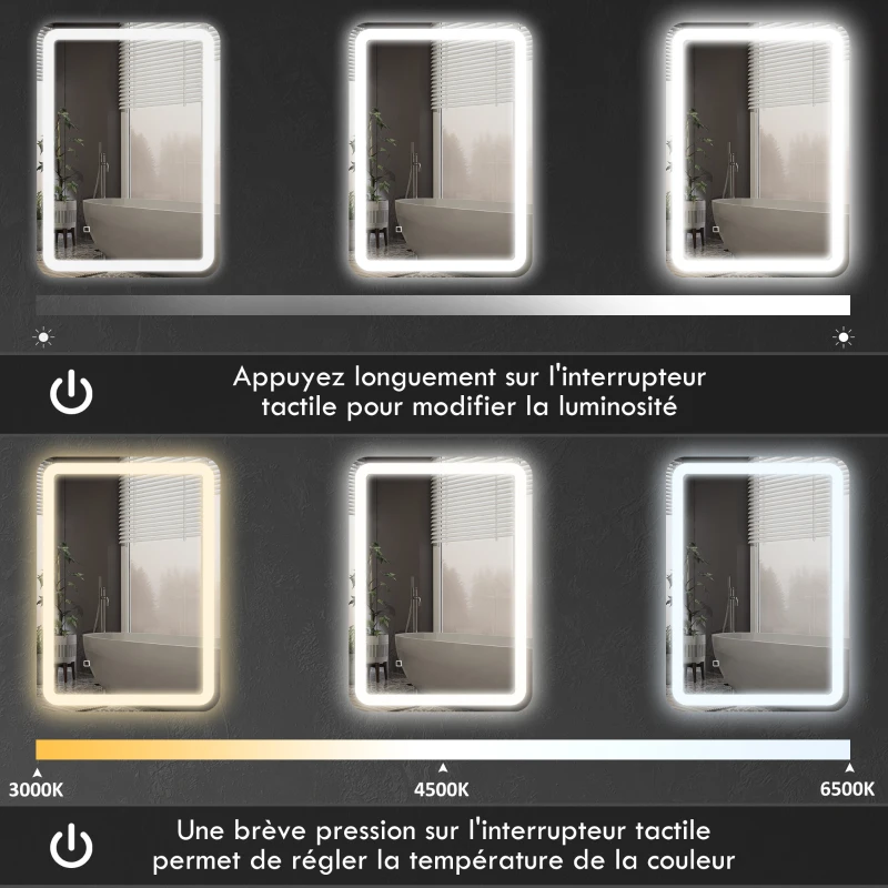 HOMCOM Miroir de salle de bain rectangulaire LED fonction anti-buée luminosité réglable fonction mémoire 70 x 50 cm argent