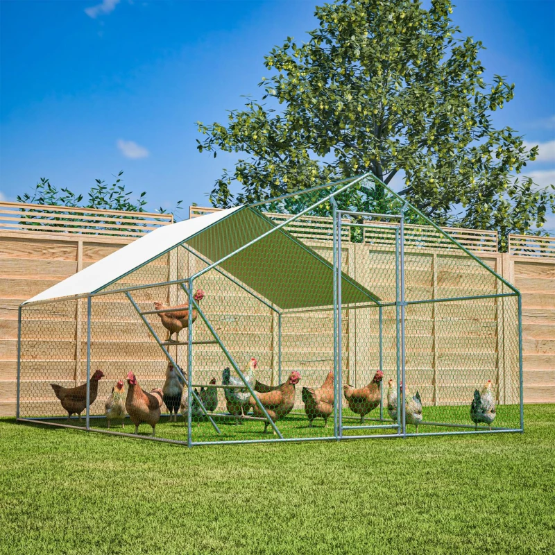 Pollaio per galline con posatoio a scaletta, 303x400x200 cm, Grigio
