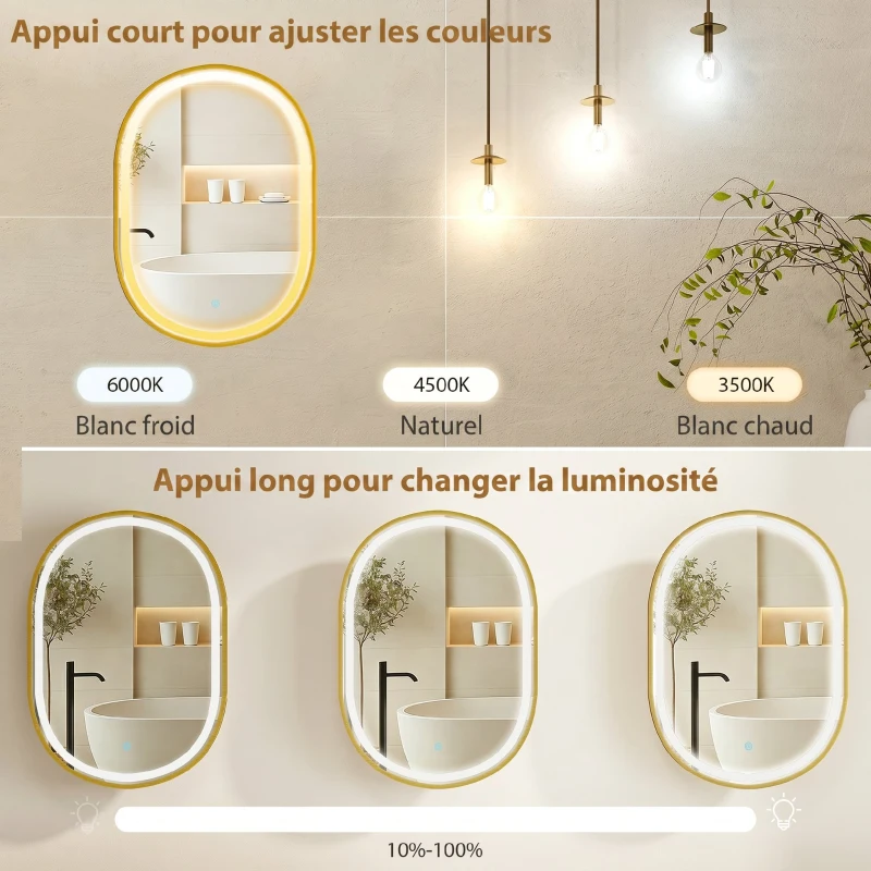 HOMCOM Armoire murale salle de bain avec miroir et éclairage LED, porte ovale, anti-buée, 50x14,5x70cm, doré