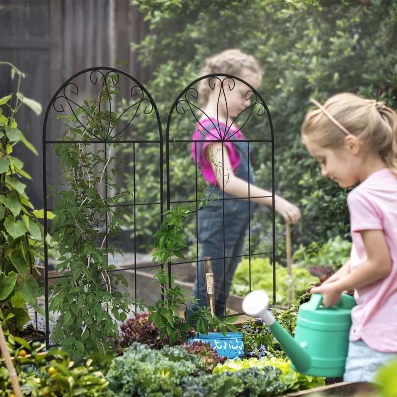 Outsunny Treillis de jardin lot de 2 support pour plantes grimpantes en métal - 51 x 120 cm noir