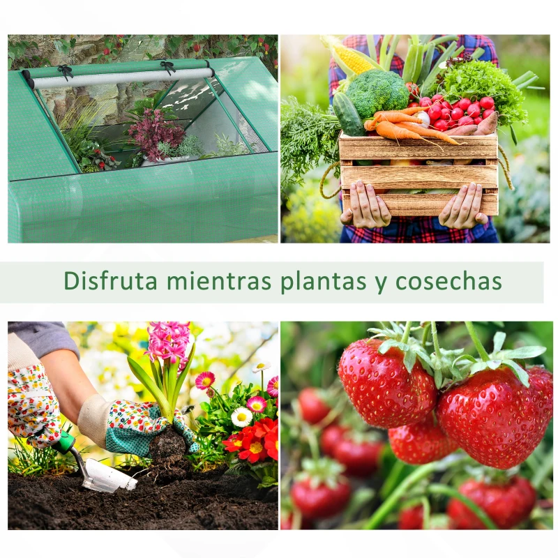 Outsunny Invernadero Pequeño para Cultivo con 4 Ventanas Enrollables Marco de Acero y Cubierta PE Anti-UV 180x140x80 cm Verde