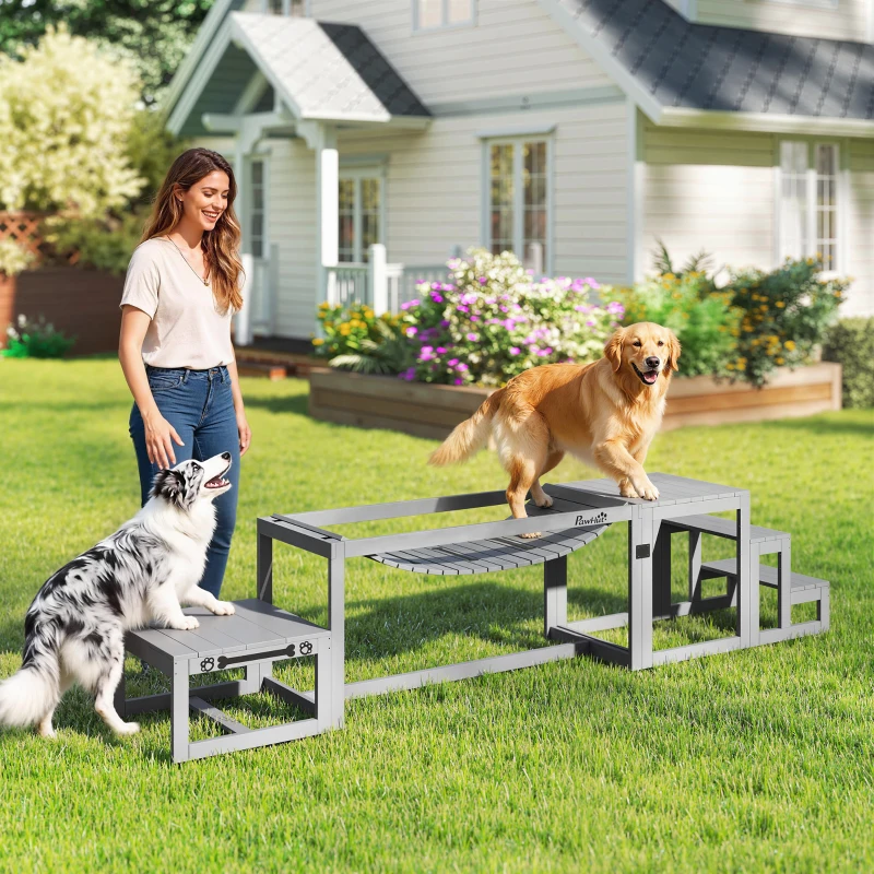 PawHut Équipements d'entraînement agilité pour chien kit d'équipement d'agilité pour chien 3 pièces en bois massif gris