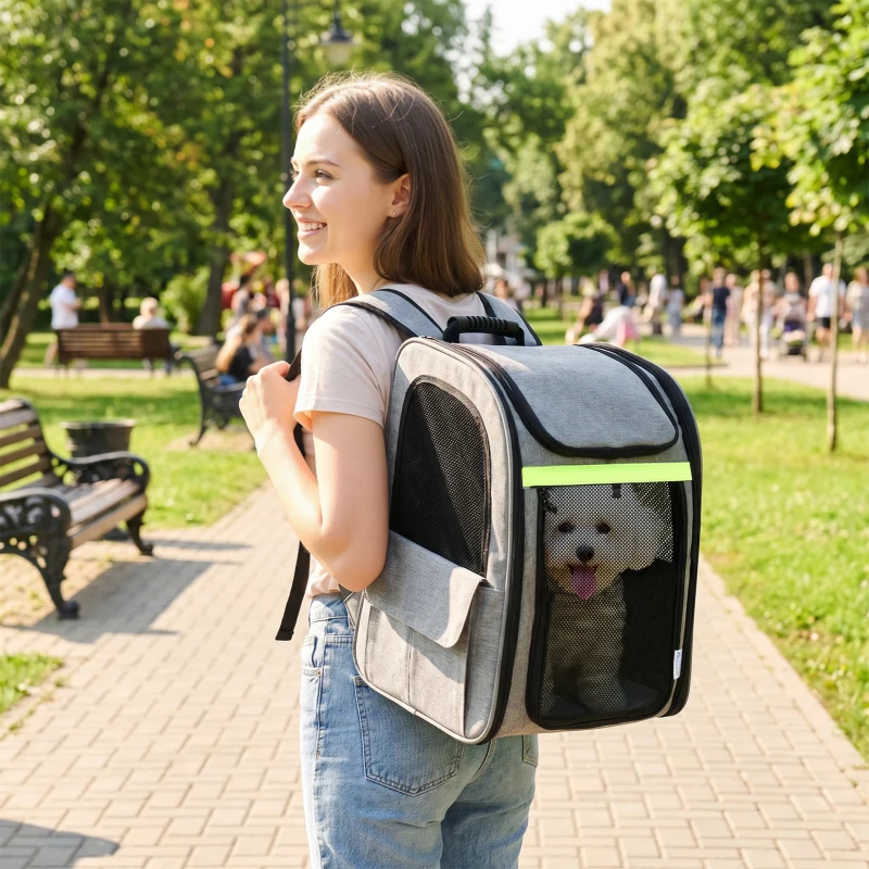 PawHut Hundebox erweiterbar Transportbox Hund mit 5 Taschen reflektierendem Streifen für Hunde bis 10 kg 33,5x28x42cm Hellgrau