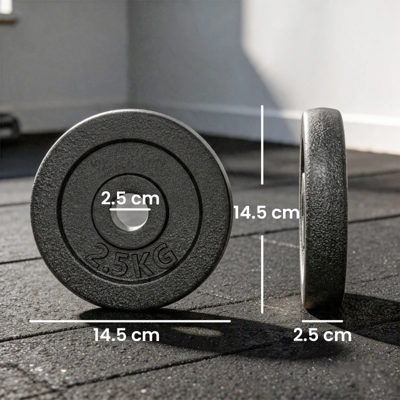 SPORTNOW Weight Plates Set, 1"/2.5cm Weight Disc Pair, 4 x 2.5kg Metal Dumbbell/Barbell Plates for Home Gym
