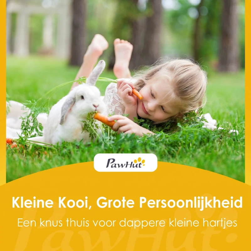 PawHut Kleindierenkooi, Konijnenstal met Opklapbaar Dak, Grenenhout, 120x120x57cm, Natuur(m-8)