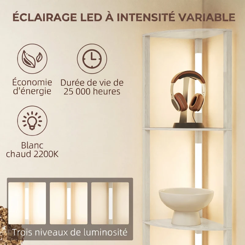 HOMCOM Lampadaire sur Pied Salon, Lampadaire avec Étagères d'Angle à 4 Niveaux, Lampe LED Dimmable, 41x29,5x163,5cm, Chêne
