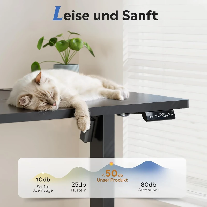 Elektrisch höhenverstellbarer Schreibtisch, leiser Motor mit 3‑fach Memory und Anti‑Kollisionssystem, 120 × 60 cm, 120x60x72-118 cm, Schwarz
