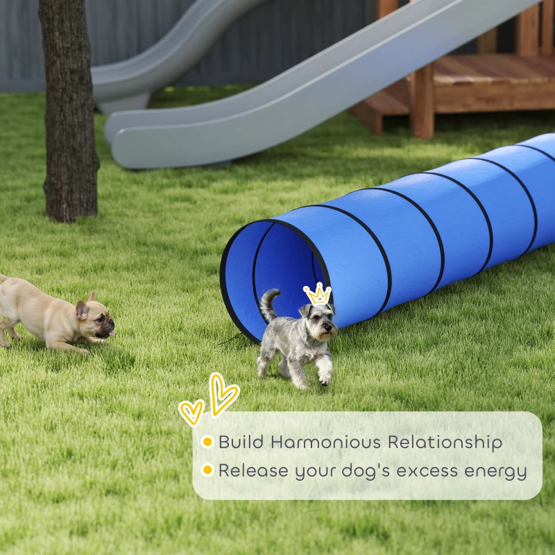 PawHut Dog Tunnel, 300 x 50 cm, Foldable Play Tunnel with 4 Pegs and Bag, Tear-Resistant Outdoor Dog Agility Equipment, Blue