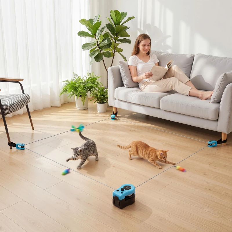 PawHut Interactive Cat Toy for Indoor Kittens & Adult with Adjustable Speed, DIY Track & Mouse Sound