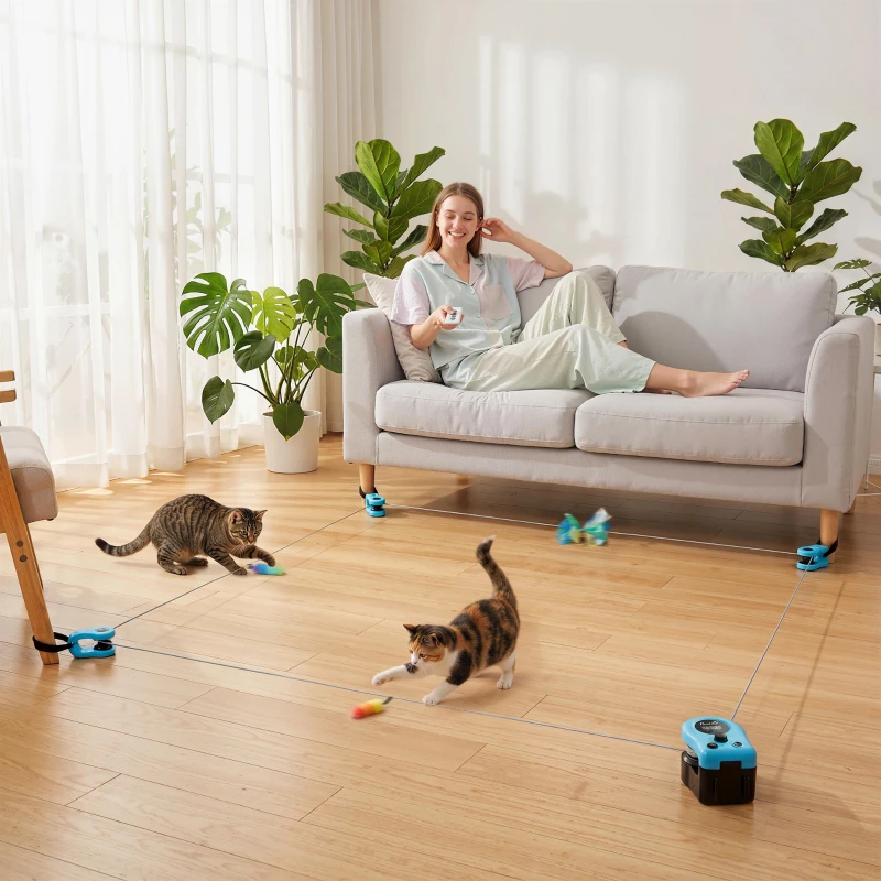 PawHut Interactive Cat Toy for Indoor Kittens & Adult with Adjustable Speed, DIY Track & Mouse Sound