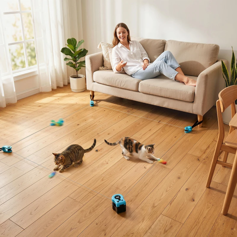 PawHut Interactive Cat Toy for Indoor Kittens & Adult with Adjustable Speed, DIY Track & Mouse Sound