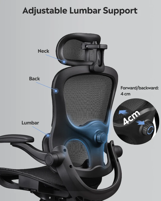 DEVAISE Ergonomic High Back Chair, Breathable Mesh Office Chair Featuring Dynamic Lumbar Support, Adjustable Headrest, 3D Armrests and 360° Swivel Function for Home Office, Black