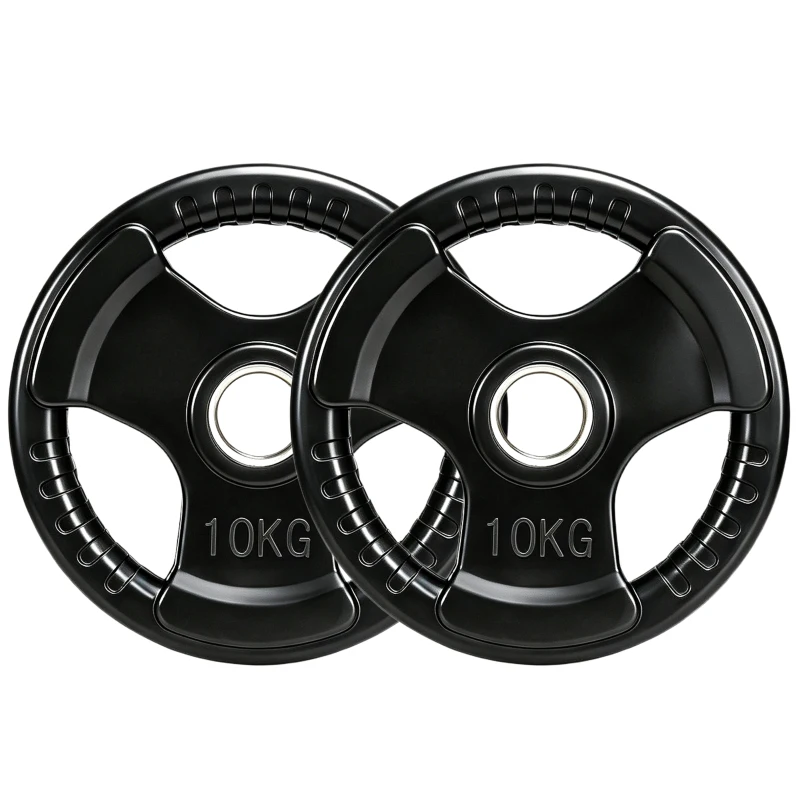 SPORTNOW halterplaat, set van 2 stuks, 10 kg per plaat, drie handgrepen, vloerbeschermende rubberen hoes, metaal