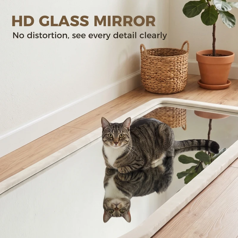 HOMCOM Miroir de Sol Arqué Pleine Longueur 160x60cm, Grand Miroir sur Pied ou Mural, Cadre Effet Velours, Verre Trempé, Crème