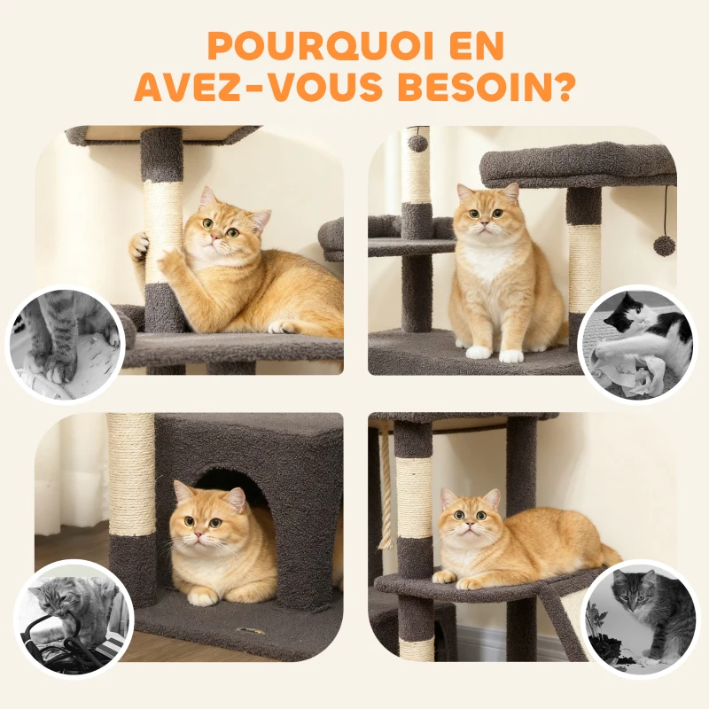 PawHut Arbre à chat tour de jeux pour chat avec griffoir 3 lits 2 niches plateformes et 3 jouets suspendus hauteur 174 cm gris